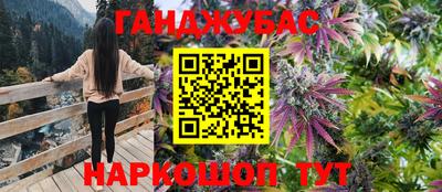 стаф Лесосибирск