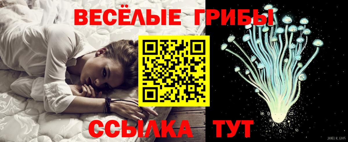 Псилоцибиновые грибы Psilocybine cubensis  Вход с VPN  Чебоксары 